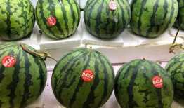 今日吃瓜-51吃瓜免费,揭秘娱乐圈最新热点！